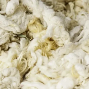Raw Cotton Virgin